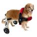 Dog Wheelchair Dog Wheelchair for Back Legs to Help Pets Regain Walking Ability Pet Wheelchair Lightweight 2 Wheels Dog Wheelchair Portable Small