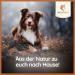 Buy Wildfang Leather Chew for Dogs & Puppies | Natural Tanned Soft Chewing Toy - Ideal for Small Dogs Up to 10 kg - 13 cm - Buy Online on GoSupps.com