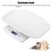 10kg/1g Digital Electronic Kitchen Pet Scale for Cats, Dogs, Parrots - Household Measure Tool - Buy Online on GoSupps.com