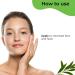 Pilgrim Tea Tree Oil Free Moisturizer for Oily & Acne Prone Skin with Hyaluronic Acid & CICA | Lightweight Face Moisturizer for Men & Women - 80gm - Buy Online on GoSupps.com