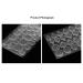 1200pcs Nail Tips Double Sided Sticker Gel Tape | Transparent Flexible Self Adhesive False Nails for Manicure - International Shipping Available - Buy Online on GoSupps.com