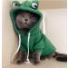 Xiaoyu Frog Pet Costume - Christmas & Halloween Dog Hoodie Fleece Sweater for Puppies - Fun Frog Shape Outfit (M) - Buy Online on GoSupps.com