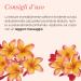 L'Erbolario Frangipani Body Cream 200ml - Luxurious Scented Moisturizer | International Shipping Available - Buy Online on GoSupps.com