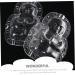 NUOBESTY Plastic Fruit 2pcs Vegetable Shaping Mold Ginseng Vegetables Cucumber Molds Melon Accessory Small Fruit Watermelon Transparent 10x7cm - Buy Online on GoSupps.com