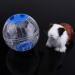 12CM Fashion Hamster Ball: Exercise Running Toy for Tiny Hamster - Buy Online on GoSupps.com