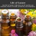 Life of Luxury Oil by Art of the Root | Handmade Herbal Oil for Wiccan Rituals | Attract Wealth Riches & Prosperity - Buy Online on GoSupps.com