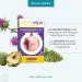 Nivelhepa 40 Capsules | Milk Thistle Artichoke Extract Choline Chlorella SAMe and Glutathione | Liver Protection and Detoxification | Liver Detox Api-Nature - Buy Online on GoSupps.com