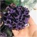 for Natural Crystal Cluster Amethyst Specimen Purple Quartz Stone Raw Crystal Home Decor ERTEYIN 300-400g - Buy Online on GoSupps.com