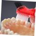 Frcolor 20STK Soft Denture Brushes - Multi-Functional Mini Toothbrushes for False Teeth Cleaning | Double Head Personal Prosthesis Brush | 5 Color Options - Buy Online on GoSupps.com