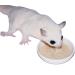 Instant-HPW 8 oz (Makes 1.5 lb) - All Natural Vitamin Enriched Sugar Glider Food - Healthy & Nutritious - High Protein Wombaroo - Staple Diet - Buy Online on GoSupps.com