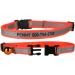 Personalized Reflective Cat Collar | Engraved Custom Collar with Name & Phone | Breakaway Safety Buckle | Adjustable for Cats - Blue - Buy Online on GoSupps.com