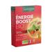 Santarome Bio - Organic Boost Energy Supplement | Instant Boost Boost, Rich in Natural Caffeine - Organic Herbal - Guarana, Ginger, Ginseng | 20 bulbs| Vegan | Made In France