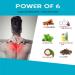Natural Pain Relief Oil Blend with Clove Camphor Turmeric & Eucalyptus | Effective for Muscle Knee Joint & Back Pain - Buy Blue Now - Buy Online on GoSupps.com