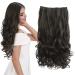 REECHO 20" 1-Pack 3/4 Full Head Curly Wave Clips in on Synthetic Hair Extensions Hairpieces for Women 5 Clips 4.5 Oz per Piece - Black brown 20 Inch (Pack of 1) Black Brown