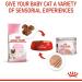 Royal Canin Mother & Babycat Mousse | 12 x 195 g | Complete Food for Cats | Especially for the Mother Cat and Her Puppies | To Support the Body's Defense - Buy Online on GoSupps.com
