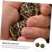 Beaupretty Copper Walnut Massage Balls for Feet - Sports Accessories & Home Decor - 3.5cm Golden Foot Ornaments - Buy Online on GoSupps.com