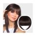 Bangs Hair Clip Bangs Hair Clip In Extensions Hair French on Bangs Hair Fake Bangs with Temp Natural Wigs Bangs Clip for Women Daily Wear Bangs Clip in Hair(Color:DMLH-33) 8inches DMLH-33