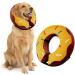 Ducomi Inflatable Dog & Cat Hinges - Post-Op Relaxation Movement Freedom & Bite Prevention - Buy Online on GoSupps.com