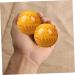 Buy Beavorty 6-Pack Health Massage Balls | Seemweide Fitness Gym Balls for Trigger Point Therapy & Hand Stretch - Buy Online on GoSupps.com