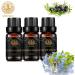 Aromatherapy Grapefruit Essential Oil Set for Diffuser 3X10ml 100% Pure Juniper Berry Essential Oil Kit for Humidifier-Grapefruit Juniper Berry Sandalwood Oil Set Aromatherapy Sandalwood Oil Kit - Buy Online on GoSupps.com