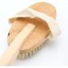 Premium Bathing Brush - Dual Soft & Stiff Bristles for Cellulite Massage & Skin Exfoliation | Improve Blood Circulation | Ideal for Body Care - Buy Online on GoSupps.com