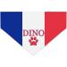 Personalized Dog Hollow Football Games Triangular Cloth - French Flag Design | Perfect for Sports & Holidays - Buy Online on GoSupps.com