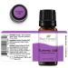 Plant Therapy Tummy Aid Essential Oil Blend 10 mL - 100% Pure Undiluted Therapeutic Grade | International Shipping Available - Buy Online on GoSupps.com
