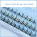 DIY Eyelash Extensions - Angel Eyelashes | Natural Individual & Cluster Lashes | Wholesale 9/10/11mm - Perfect for Flower Fairy Eye Makeup - Buy Online on GoSupps.com