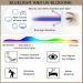 UV Filtering Retro Computer Reading Glasses for Men & Women - Anti-Blue Light Anti-Eyestrain 2.5x Magnification - 4 Color Options - Buy Online on GoSupps.com