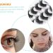 Beavorty 5 Pairs Fake eyelashes false eyelashes soft light fake lash artificial eyelashes black accent decor hand decor 3D black trim Natural Eyelashes dense Miss Adhesive Imitation - Buy Online on GoSupps.com