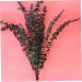 Zerodeko 10pcs Flower Plants Wedding Bouquets Eucalyptus Branches Naturales Faux Eucalyptuses Faux Eucalyptus Leaves Eucalyptus Tree Leaves Fake Eucalyptus Christmas Decorations - Buy Online on GoSupps.com