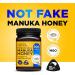 Manuka Gold 300 MGO Manuka Honey 500 g - Buy Online on GoSupps.com