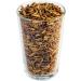 Crunchy Critters Edible Insects Half a pint of Mealworms - 59g - Buy Online on GoSupps.com