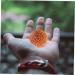 Magiclulu 4-Piece Massage Ball Set - Decompression & Yoga Tools for Muscle Relief | Wooden Decor & Stretch Balls - Buy Online on GoSupps.com
