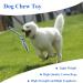 GOOSEEN Flirt Pole for Dogs Interactive Dog Toys for Large Medium Small Dogs Chase and Tug Extendable Flirt Pole with 1pcs Cotton Lure Rope Toy for Dog Outdoor Entertainment Train and Exercise - Buy Online on GoSupps.com
