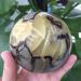 Home Decoration Natural turtleback Stone Crystal Stones Stone Mineral Specimen (Size : 400-450g) - Buy Online on GoSupps.com