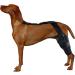 Rear Leg Braces for Small Dogs | Professional Knee Support Brace Brace Behind Leg Neoprene Hip Brace Adjustable Traction Belt Stabilizer for Torn ACL Leg L left - Buy Online on GoSupps.com