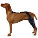Dog Knee Support Brace Dog Knee Support Brace Brace Behind Leg Neoprene Hip Brace Adjustable Traction Belt Stabilizer for Torn ACL Leg M left