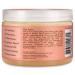 Shea Moisture Coconut & Hibiscus Curling Gel Souffle - 2 Pack (12 oz Each) for Thick & Curly Hair - Agave Nectar & Flax Seed Oil Styling Moisturizer - Buy Online on GoSupps.com