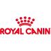 Royal Canin Dachshund Dry Dog Food 1.5kg - Buy Online on GoSupps.com