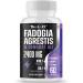Thalacy 2400mg Fadogia Agrestis Tongkat Ali Supplement - Fadogia Agrestis 1400mg & Tongkat Ali 1000mg Ultra Blend, Maximum Strength, Muscle Mass & Athletic Performance, 60 Softgels 60 Count (Pack of 1)
