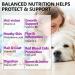 15 in 1 Multivitamin with Glucosamin and Probiotic Soft Chews (2 Packs) for Dogs. Multivitamin for Hip Joint Skin Coat Gut Health and Immune System with Duck Flavour for All Dogs (120 Chews). - Buy Online on GoSupps.com