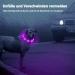 Nepfaivy Luminous Dog Collar - Waterproof LED USB Charging Adjustable Length 3 Safety Light Modes Purple Silicone - Buy Online on GoSupps.com
