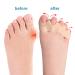 2 Pairs Toe Separators for Foot Pain Relief and Plantar Fasciitis - Correct Bunions & Hammer Toe - Toe Straighteners for Women & Men (Black) - Buy Online on GoSupps.com