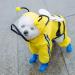 Dog Raincoat Waterproof Pet Clothes with Transparent Hood | Lightweight Reflective Yellow Rain Jacket for Small Medium Large Dogs - Bee Design | Full Body Coverage - Buy Online on GoSupps.com