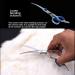 WUWYOUWL Pet Grooming Scissors for Dogs & Cats | 6-Inch Hair Cutting & Ear Cleaning Accessories - Buy Online on GoSupps.com