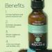 Purifect Renewing Squalane Facial Serum Helps Increase Hydration and Deeply Soothes Skin With Arginine and Vitamin E Oil Suitable for All Skin Types 30ml - Buy Online on GoSupps.com