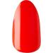Kiss Impress Press On Manicure Ten different looks - Buy Online on GoSupps.com