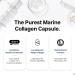 Just Collagen Glutathione UP 120 Capsules - Reduced Active Form - L-Glutathione with Hydrolyzed Marine Collagen Hyaluronic Acid and Vitamin C - Pure Glutathione Supplement for Antioxidant Support - Buy Online on GoSupps.com