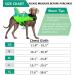 Durable Adjustable Dog Life Jacket | Ripstop Pet Safety Vest with Rescue Handle | Enhanced Buoyancy for Anxiety-Free Swimming | Small Medium Large Dogs | Green Dinosaur Design - Buy Online on GoSupps.com